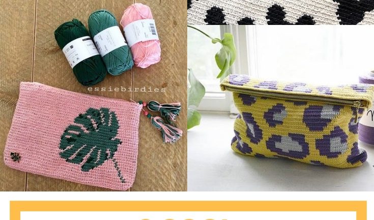 PENCIL CASE TO DO WITH TAPESTRY CROCHET (COOL!)